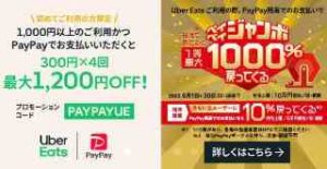 初回限定!PayPayで1000円以上支払いで最大1200円OFF