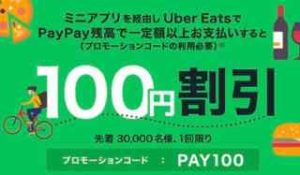 PayPayミニアプリ経由から注文で100円割引