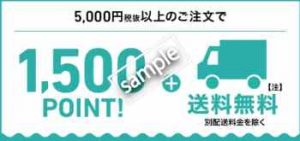 5000円以上購入で送料無料+1500ポイントプレゼント