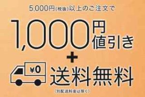 5000円以上購入で送料無料＋1000円OFF