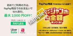 初回限定!1000円以上注文 & PayPay支払いで50%OFF