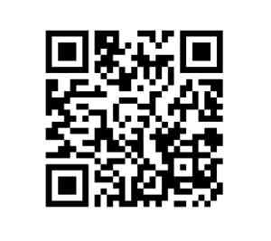 定食 or 丼 or セットメニュー