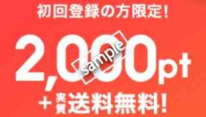 2000ポイントプレゼント+送料無料