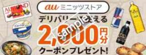 auミニッツストア限定!合計2000円分クーポン